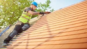 Best Rubber Roofing (EPDM, TPO)  in Asbury, IA