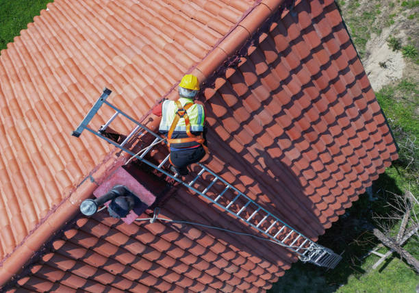 Best Asphalt Shingles Roofing  in Asbury, IA